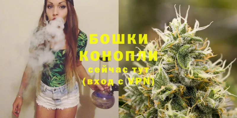 Бошки Шишки THC 21%  Заводоуковск 